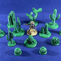 Cactus and Desert Plants Old West